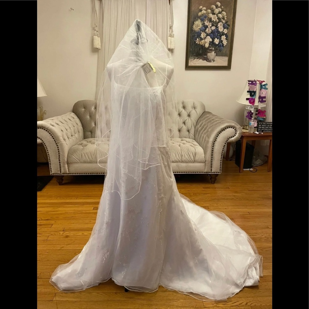 David’s Bridal x Michelle Luo wedding dress and veil